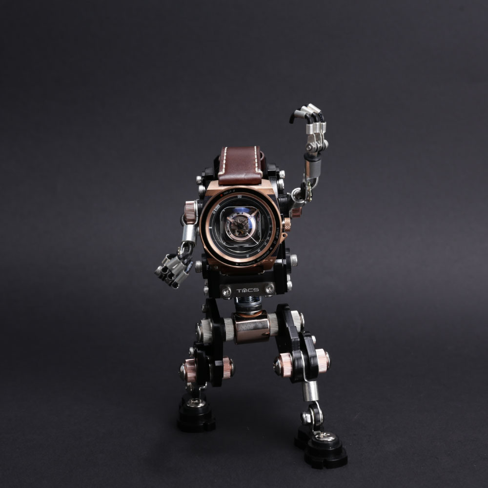 TS1803O VINTAGE LENS AUTOMATICII（ヴィンテージレンズオートマチック