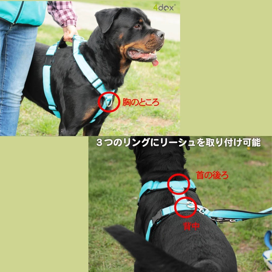 犬用ハーネス4dox｜H・Y形状｜引っ張る力を均等分散｜高品質パッド入り