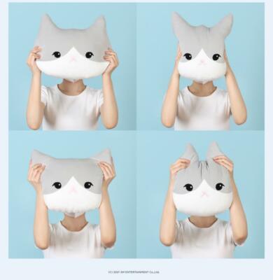 TAEMIN SHINEE TAEMARI & GGUNG SMTOWN OFFICIAL GOODS CUSHION SEALED