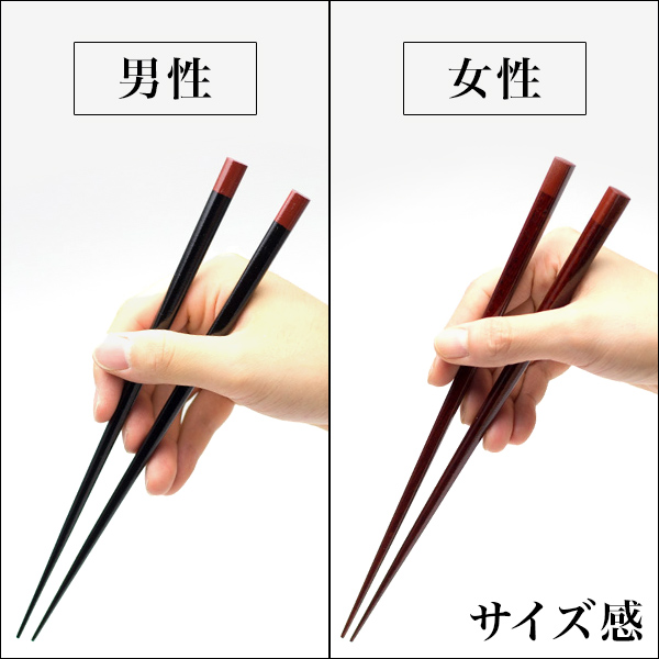 送料無料】 夫婦箸 紫檀(シタン) 黒檀(コクタン) ペア / お箸 セット