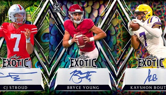 2023-Leaf-Exotic-Football-