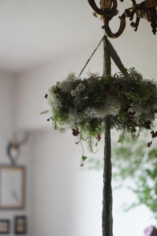 スモークツリーフライングリース - deuxR - Dried Botanicals - ドライ
