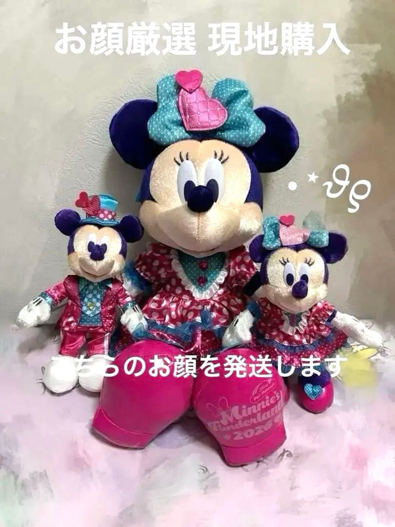 ぬいぐるみバッジ ぬいぐるみ ミニー ミッキー パルパルーザ ファンダーランド ディズニー パルパルーザ ファンダーランド ぬいぐるみバッジ ぬいば