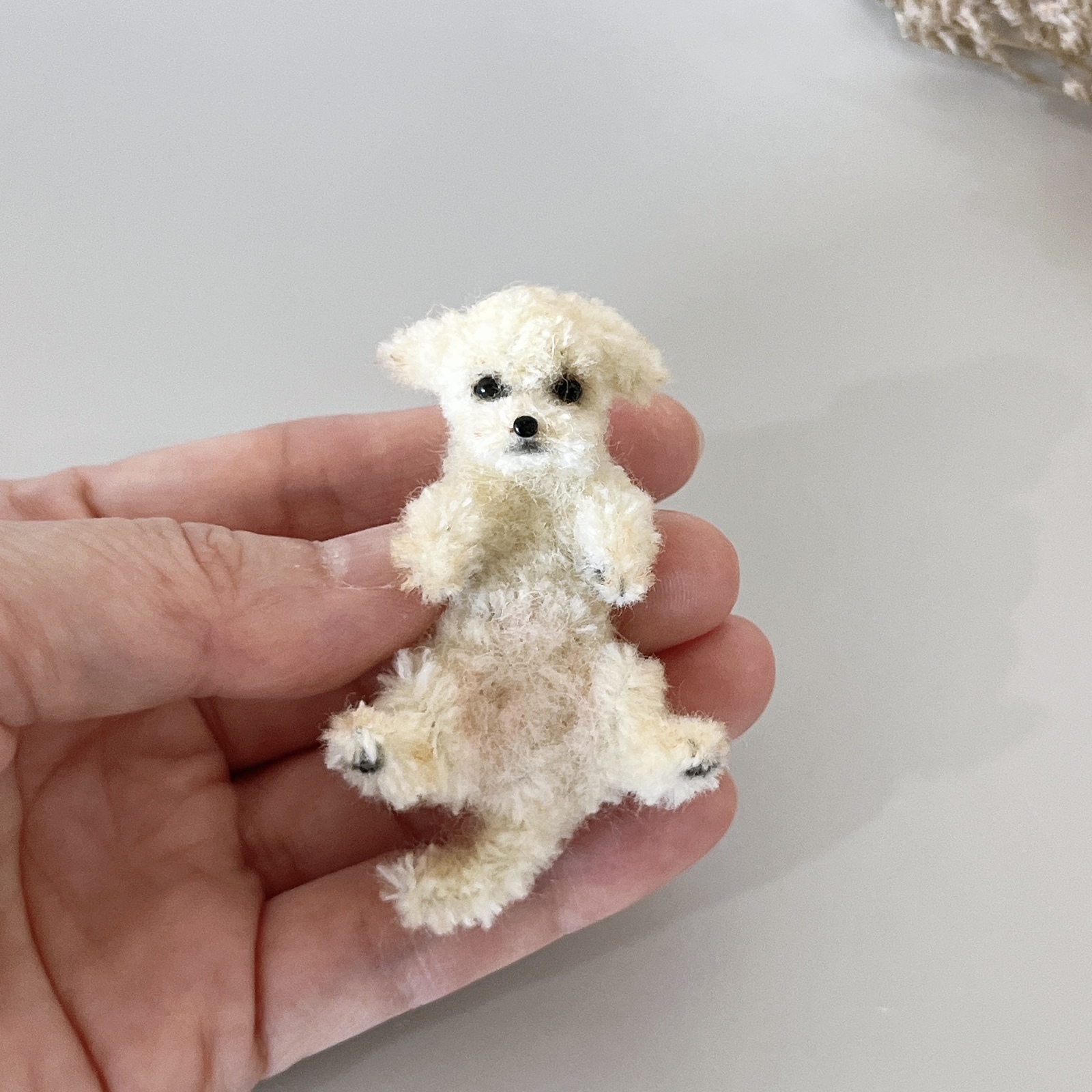 モールアートのミニチュア犬＊マルプー＊へそ天 - uco_felt | minne